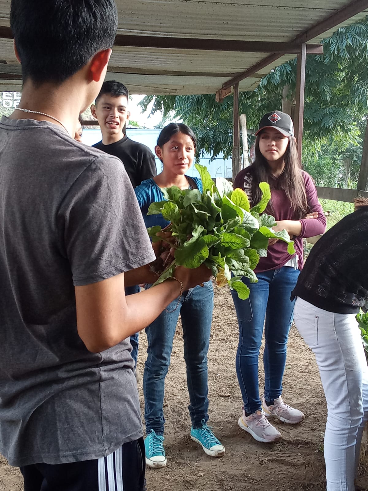 Agricultural learning